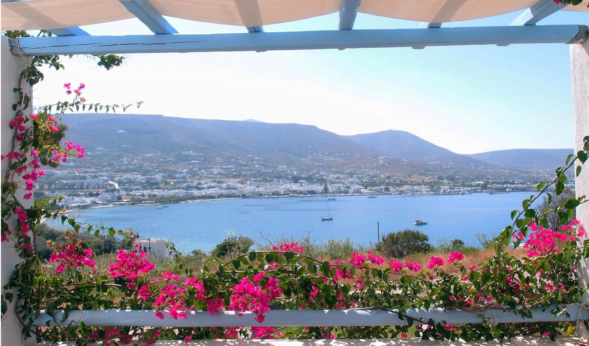 Paros Paradise Apartments Extérieur photo